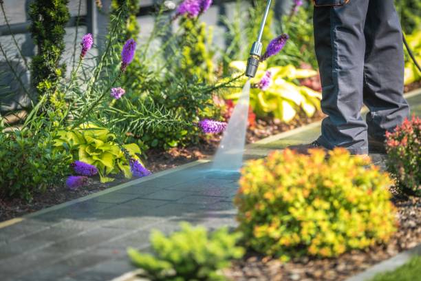 Best Fence Cleaning  in Botkins, OH