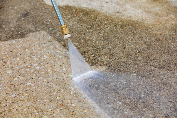 Best Pre-Holiday Cleaning  in Botkins, OH