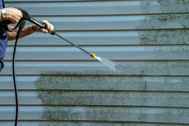Best Graffiti Removal  in Botkins, OH